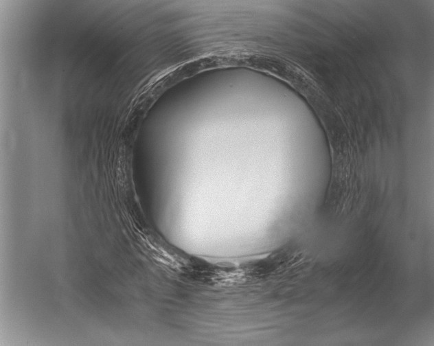 X0000052560773200507221435