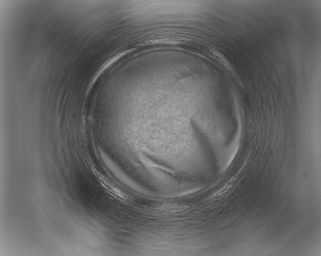 X0000052560779200507221435