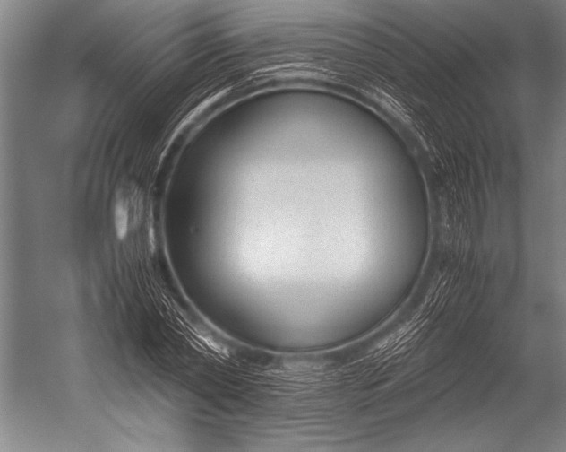 X0000052560782200507221435