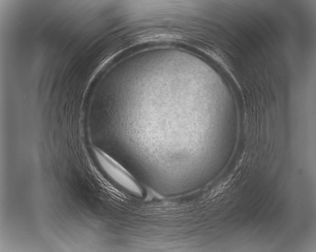 X0000052560783200507221435