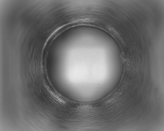 X0000052560784200507221434