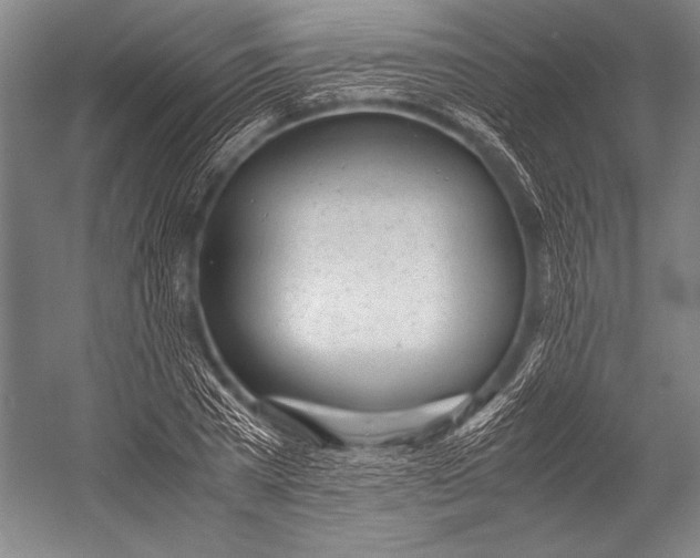 X0000052560785200507221434