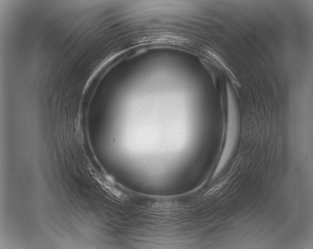 X0000052560788200507221434