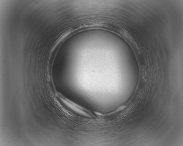 X0000052560789200507221434