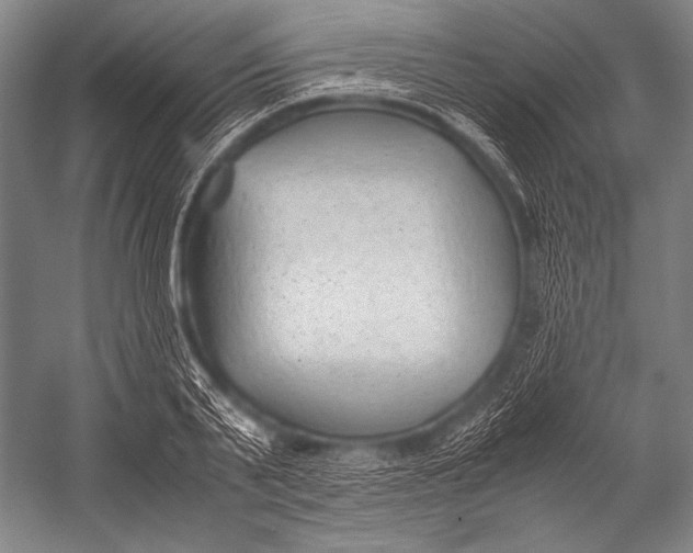 X0000052560791200507221434