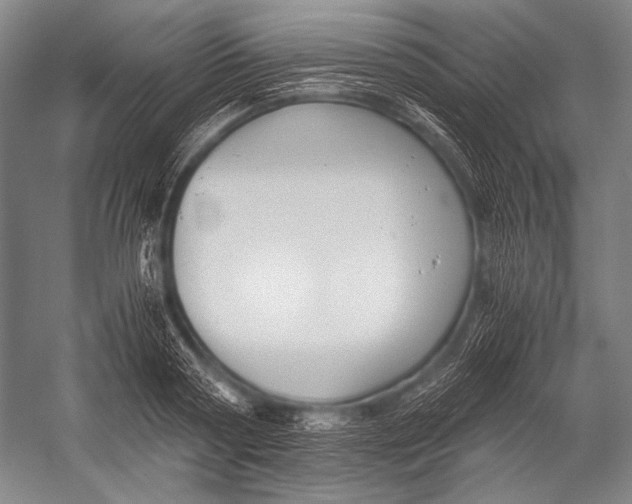 X0000052560794200507221434