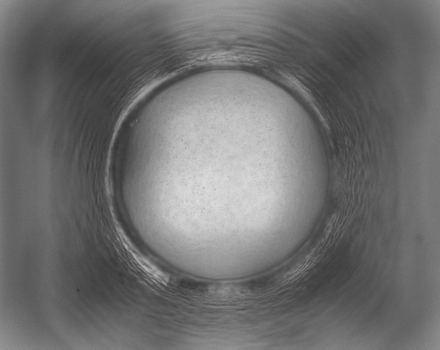 X0000052560795200507221434