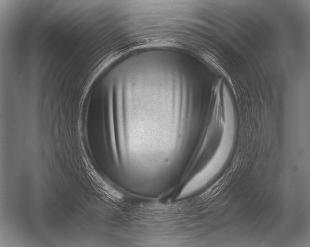 X0000052560797200507221434