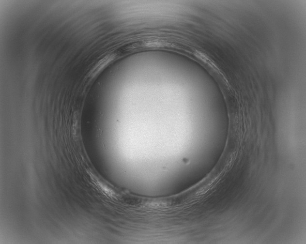 X0000052560801200507221434