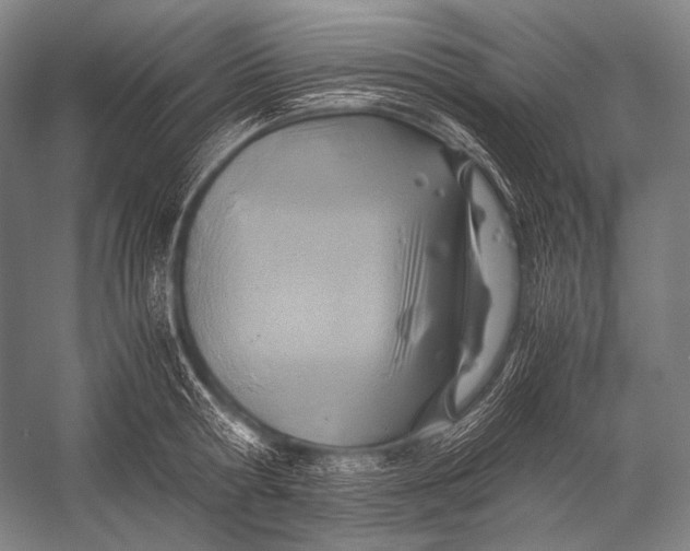 X0000052560802200507221434