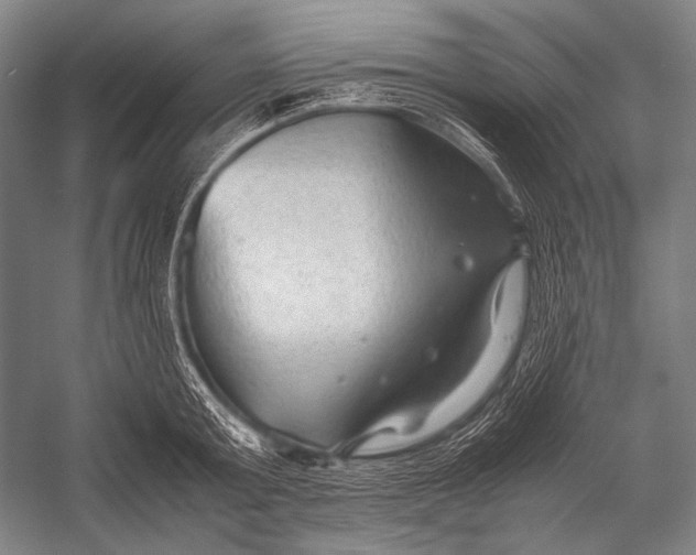 X0000052560803200507221434