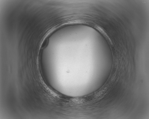 X0000052560805200507221434