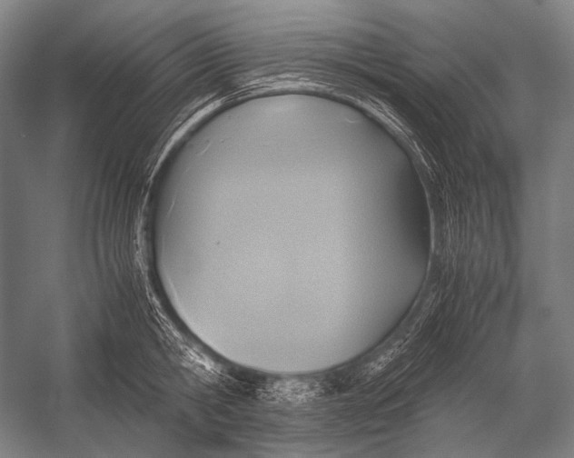 X0000052560806200507221434
