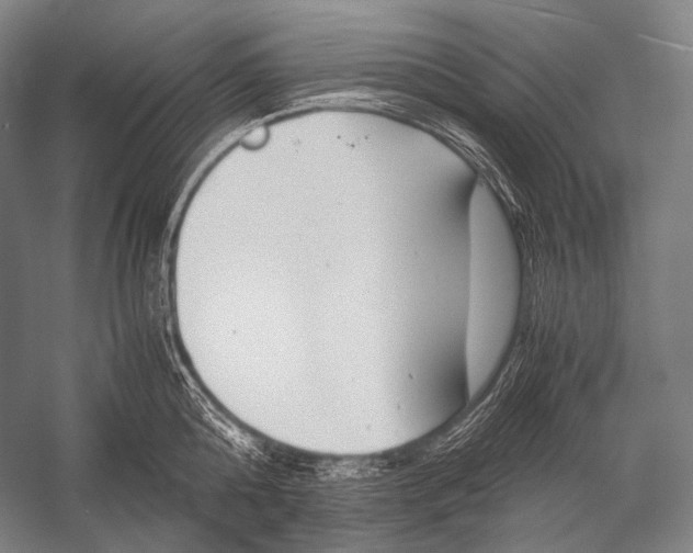 X0000052560808200507221434