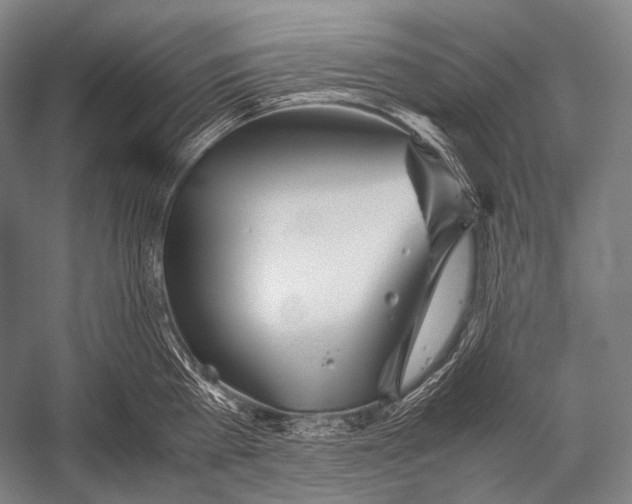 X0000052560809200507221434