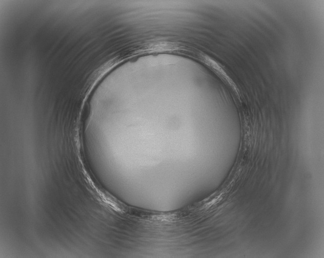 X0000052560810200507221434