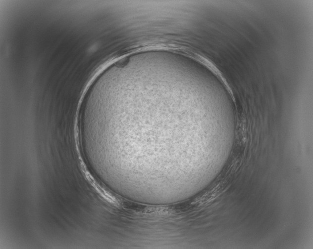 X0000052560811200507221434