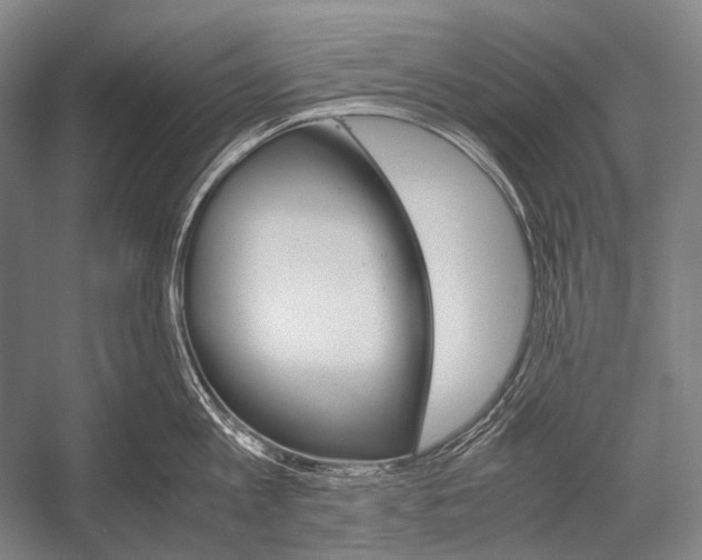 X0000052560813200507221434