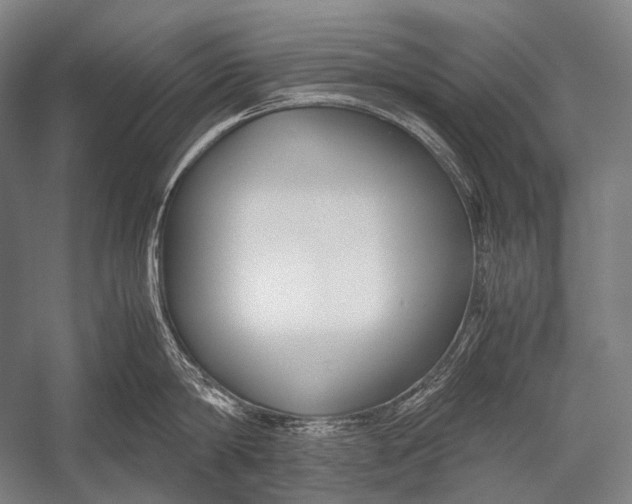 X0000052560814200507221434