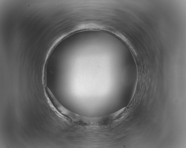 X0000052560815200507221434