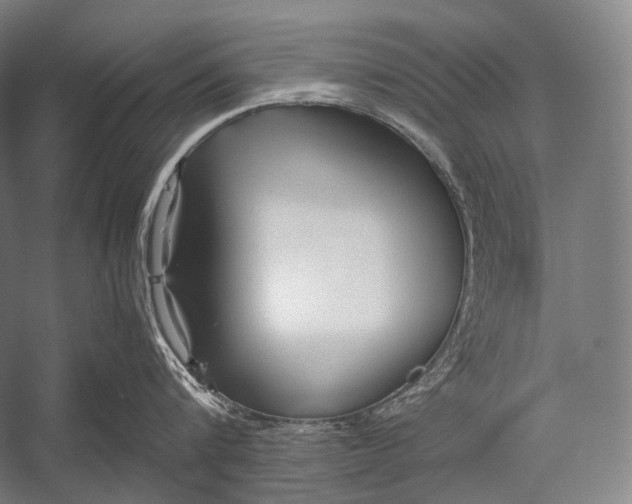 X0000052560816200507221434