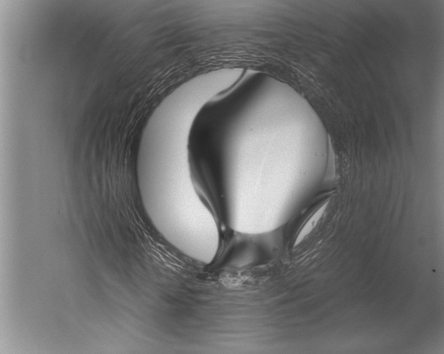 X0000052560818200507221433
