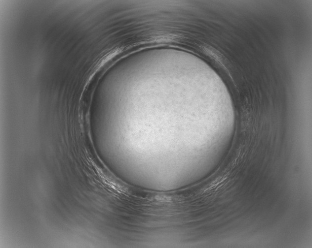 X0000052560827200507221433