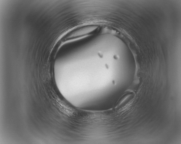 X0000052560830200507221433