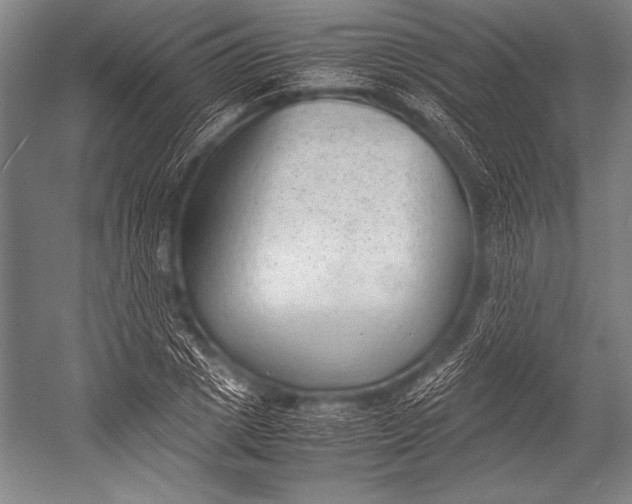 X0000052560833200507221433