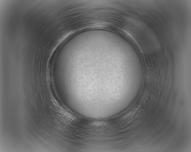 X0000052560835200507221433
