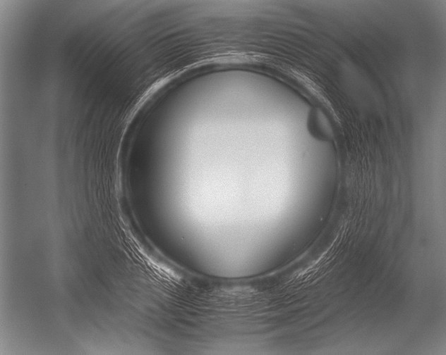 X0000052560837200507221433