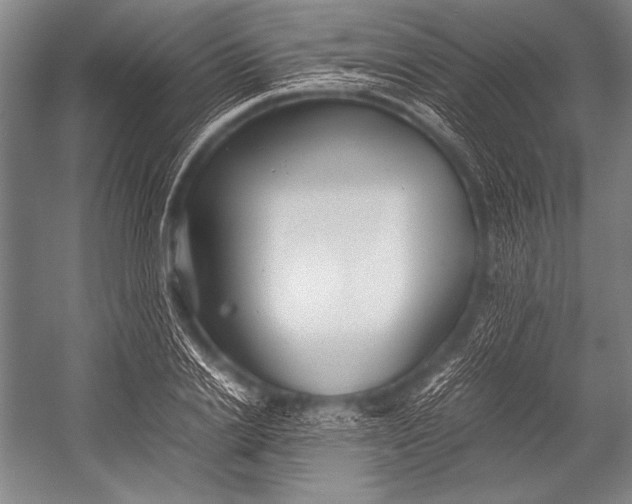 X0000052560838200507221433