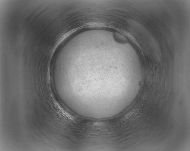 X0000052560839200507221433