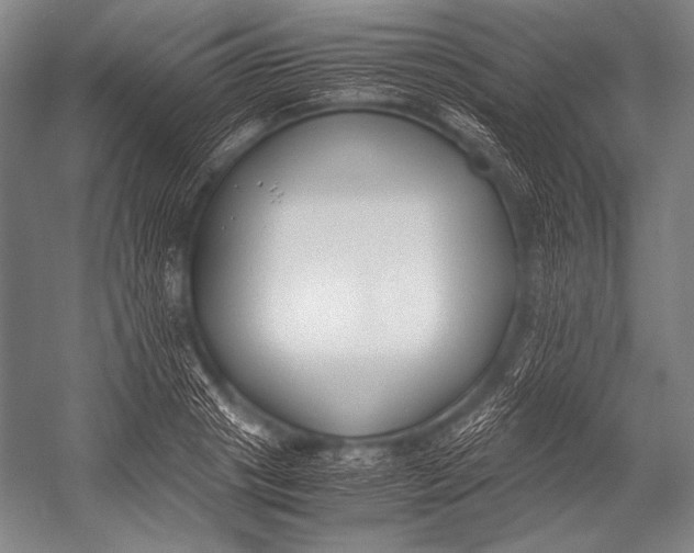 X0000052560841200507221434