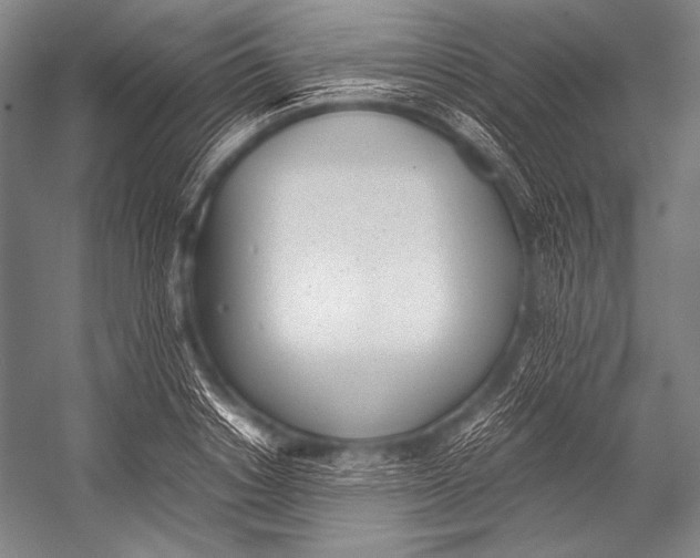 X0000052560842200507221434