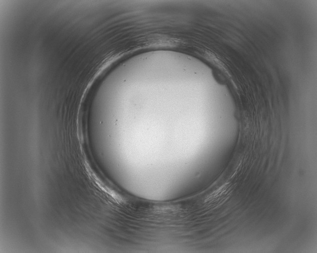 X0000052560843200507221434