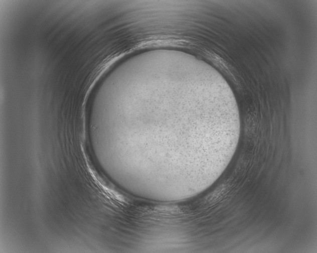 X0000052560844200507221434