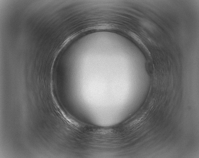 X0000052560845200507221434