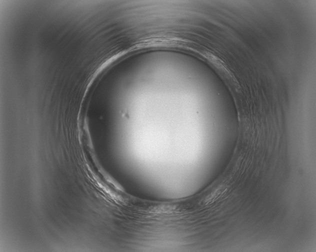 X0000052560846200507221434