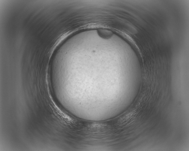 X0000052560847200507221434