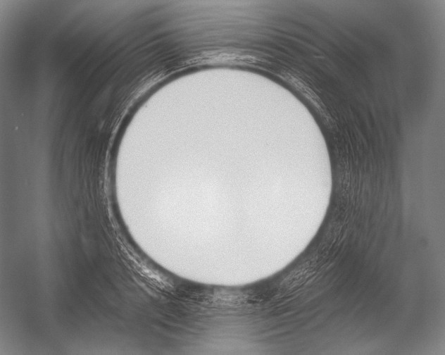 X0000052560848200507221434