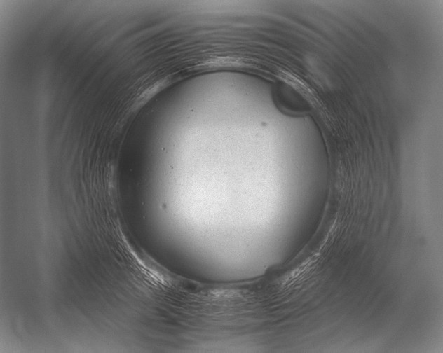 X0000052560849200507221434