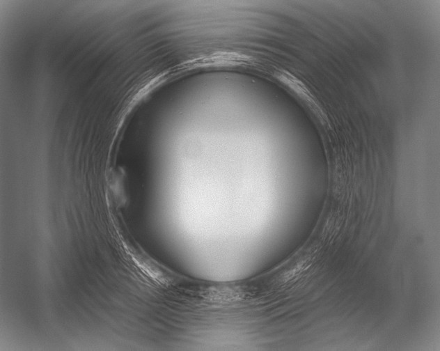 X0000052560850200507221434