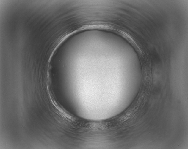 X0000052560852200507221434