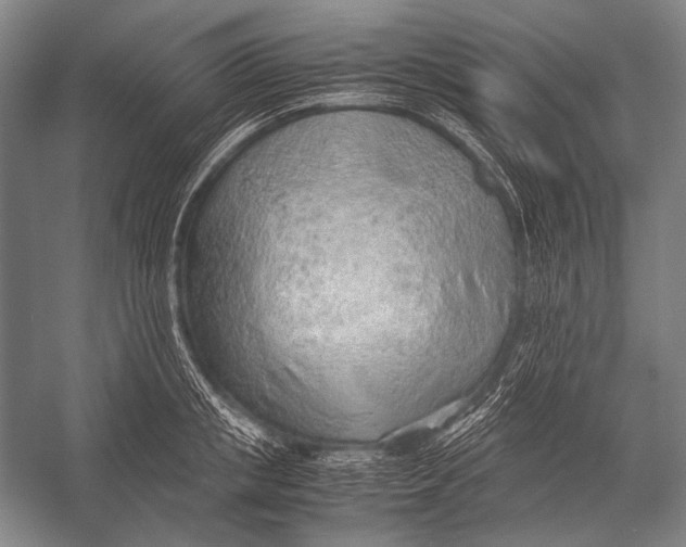 X0000052560853200507221434