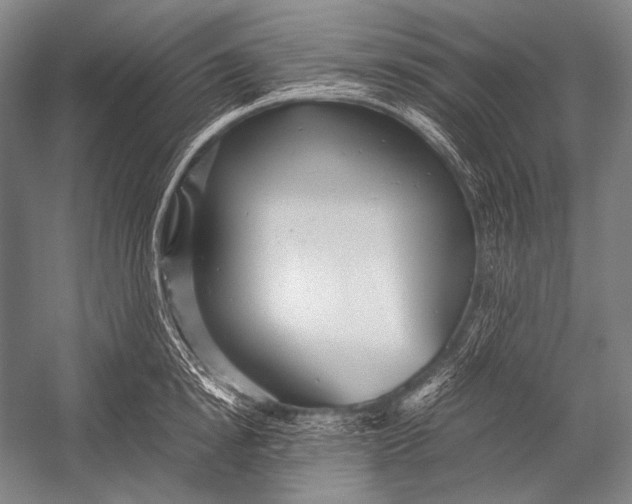 X0000052560854200507221434