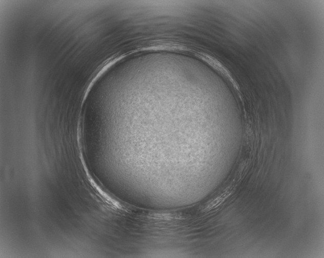 X0000052560855200507221434