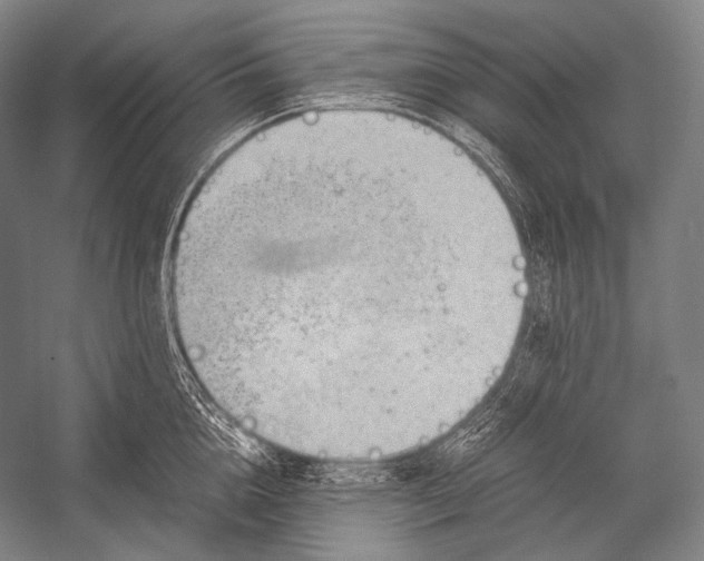 X0000052560856200507221434