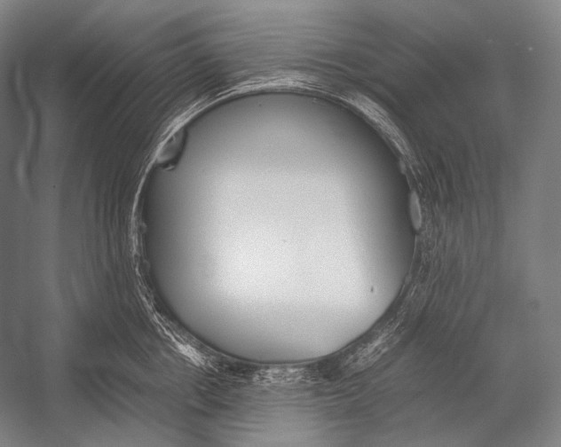 X0000052560858200507221434