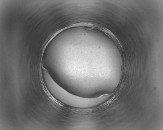 X0000052560860200507221434